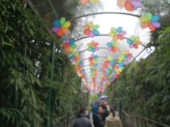 -印象泰和园(望丛西路店)