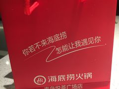 -海底捞大排档火锅(悦荟广场店)