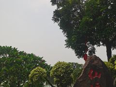 -广州莲花山旅游区