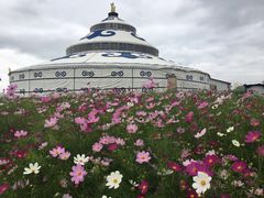 -186彩带河