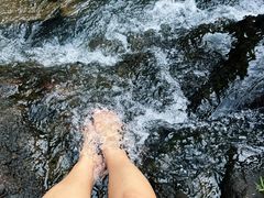 -广州白江湖森林公园