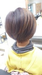 -Mentor Hair Salon