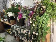 -蓝山四季西餐植物店