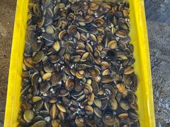 -红旗山庄(圭峰山店)