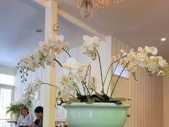 -Fern Forest Cafe