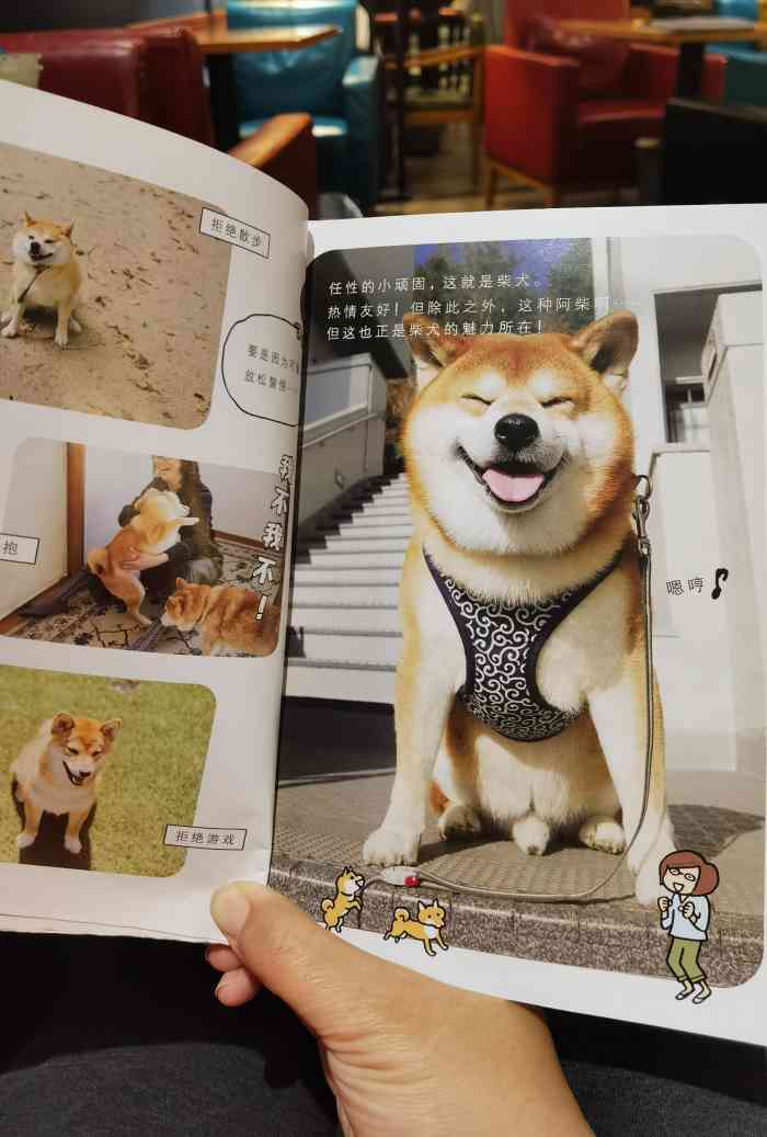 西西弗书店&矢量咖啡(恒隆广场店)