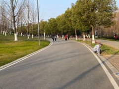 -武汉园博园(武汉自然博物馆)