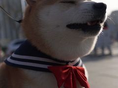 -龙美术馆(西岸馆)