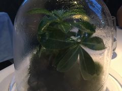 -AZUR聚(香格里拉饭店)