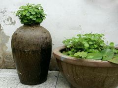 -龙湖东院农庄(乡间小路店)