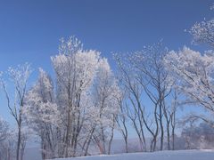 -中旅松花湖滑雪场
