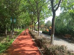 -大兴滨河森林公园