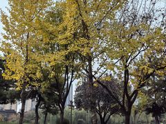 -木塔寺遗址生态公园