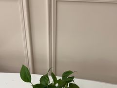 -宝燕壹号(徐汇店)