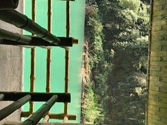 -阿依河景区