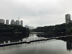 -重庆彩云湖湿地公园