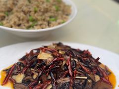 -山菌美食苑(振兴路店)