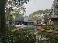 -若蘭慈·无国界素食料理(欢乐海岸店)