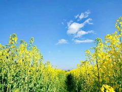 -集天餐厅(人大店)