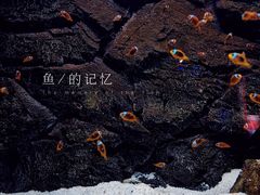-大连圣亚海洋世界