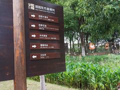 -田园东方蜜桃村的田野营地