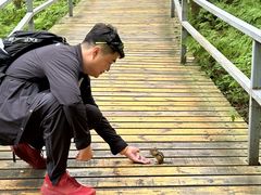 -五营红松林海景区