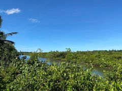 -东寨港红树林旅游区