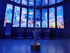 -上海海昌海洋公园