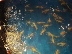 -钳真多钓虾馆·小龙虾海鲜烧烤(九六广场店)