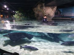-凯莉-塔尔敦海洋生物水族馆