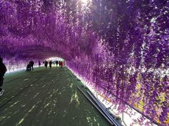-绿野森林乐园冰雪季