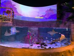 -沈阳海洋探索中心