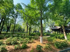 -石家庄市植物园
