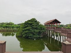 -海上田园
