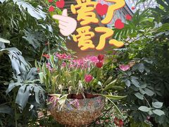 -花之城