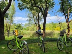 -昆山城市生态森林公园