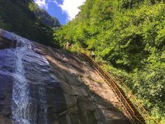 -青峰峡国家森林公园