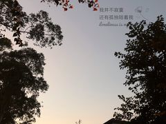 -广州市白云山风景名胜区