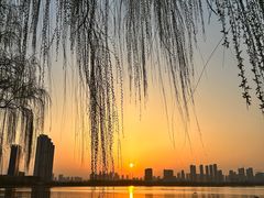 -金银湖国家城市湿地公园