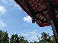 -成都市郫都区唐昌战旗小学