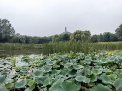 -北坞公园
