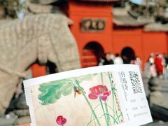 -洛阳白马寺
