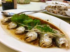 赤头鱼-万山楼海鲜酒家·二十三年老字号