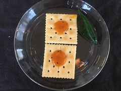 -柑橘农场