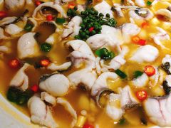 -青花椒花椒鱼(合生汇店)