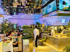 -桂满陇·杭州小馆(朝阳合生汇店)