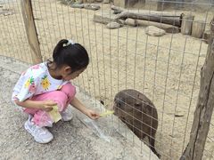 -祥源·阜阳生态乐园