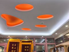-全心全意连锁动物医院·微创中心·内科急重症·心脏专科(丰管路店)