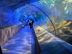 -太平洋海底世界