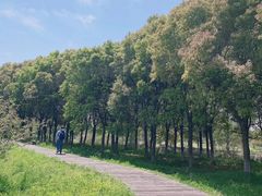 -南湖湿地公园